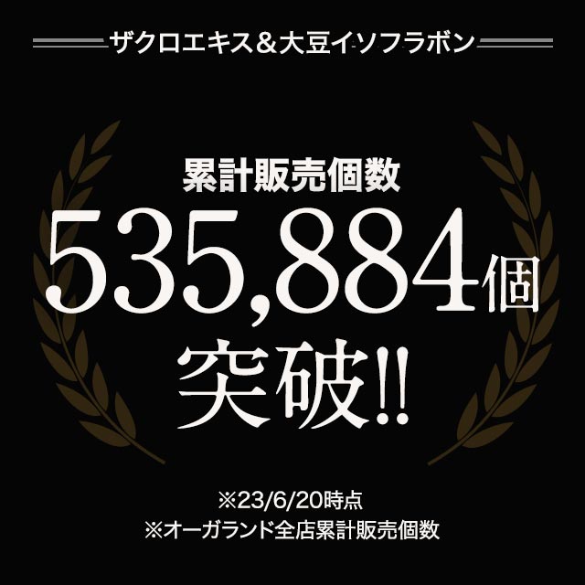 ザクロ エラグ酸 サプリ ザクロエキス&大豆イソフラボン (約3ヶ月分) フェムケア サプリメント イソフラボン 関連画像2