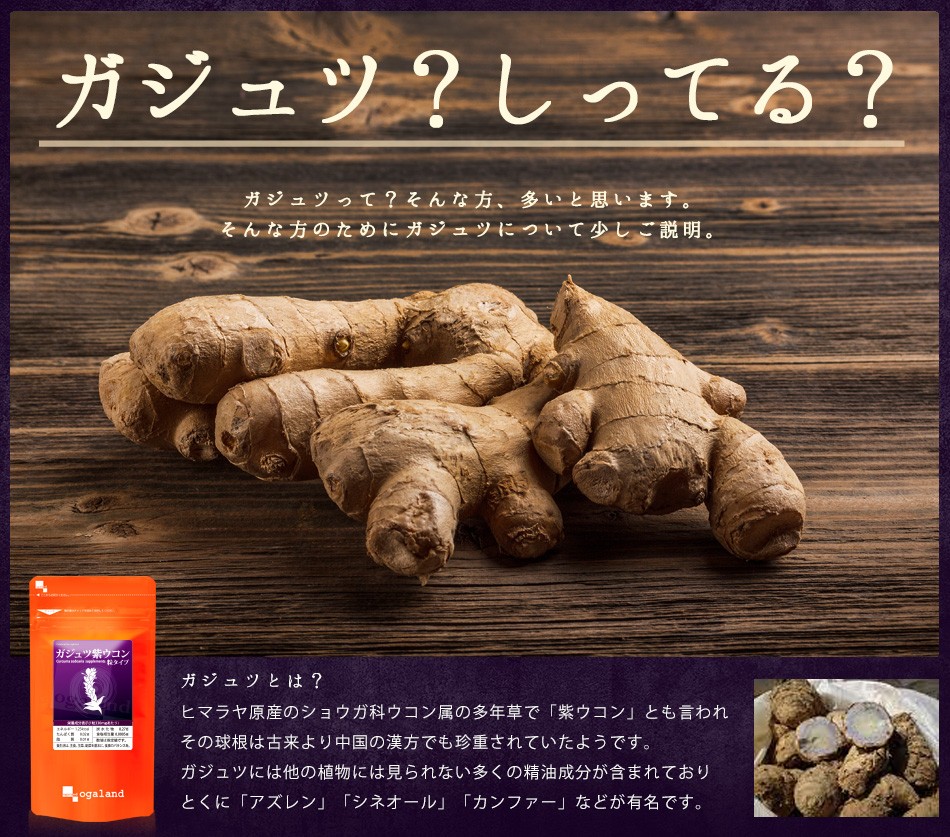 ガジュツ紫ウコン (約3ヶ月分) 健康 美容 ダイエット サプリメント クルクミン サプリ クルクメン お酒 のお供に シネオール エイジングケア うこん 生活習慣 オーガランド PayPayモール店 - 通販 - PayPayモール ガジュツ紫ウコン (約3ヶ月分) 健康 美容 ダイエット サプリメント クルクミン サプリ クルクメン お酒 のお供に シネオール エイジングケア うこん 生活習慣 オーガランド PayPayモール店 - 通販 - PayPayモール