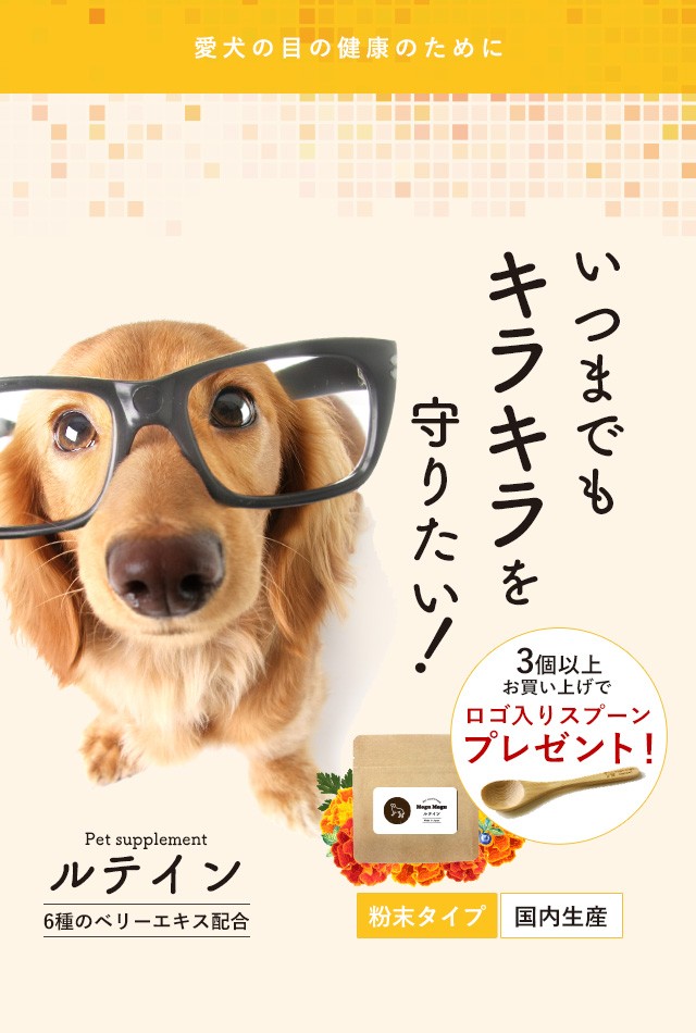 ルテイン 30g 犬 サプリ 送料無料 目 ドッグフード と一緒に アイケア ブルーベリー 白内障 予防 に ぽっきり サプリメント Prt 30 ペットサプリもぐもぐ 通販 Yahoo ショッピング