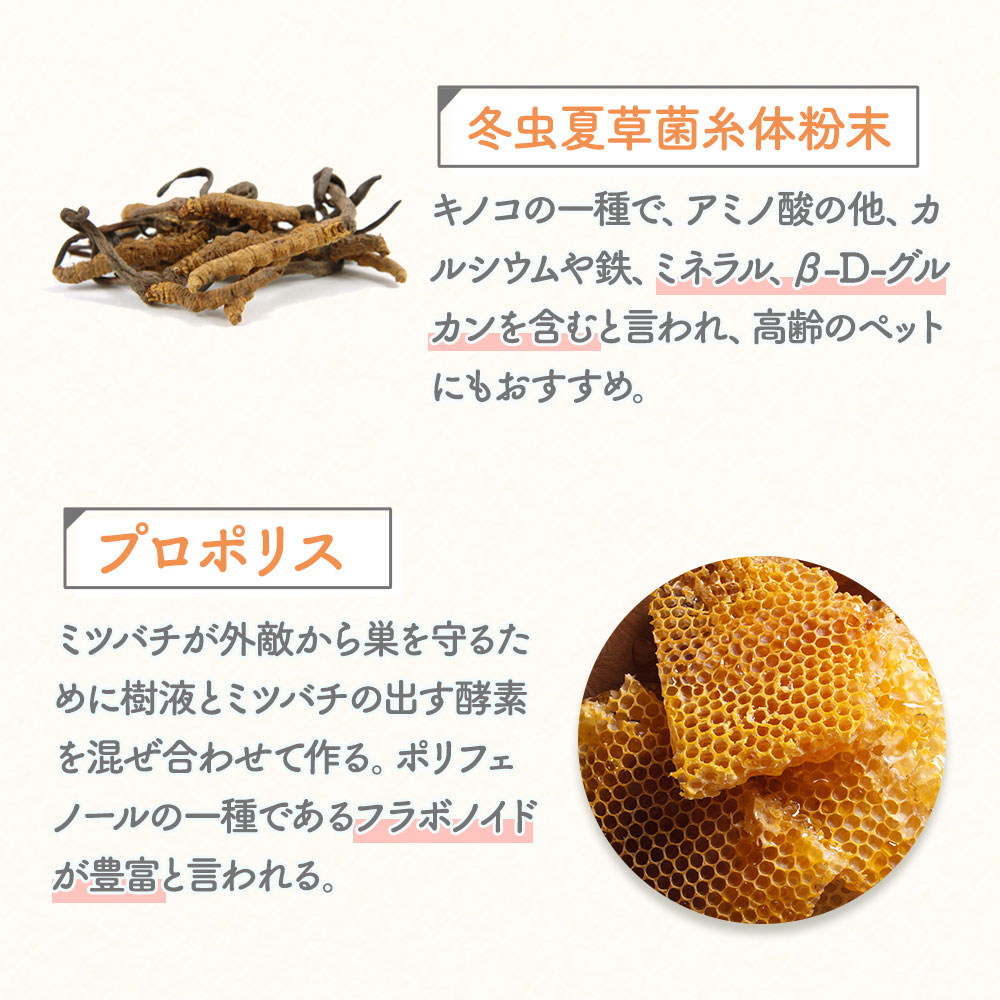 セール 犬 サプリ ハナビラタケ＆冬虫夏草 30g 国産 粉末 パウダー ふりかけ トッピング 免疫 サプリメント プロポリス ローヤルゼリー :  psm-th : ペットサプリもぐもぐ - 通販 - Yahoo!ショッピング