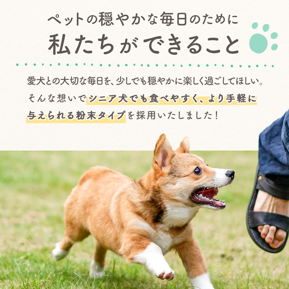 犬 サプリ DHA&GABA 45g シニアフード 国産 ふりかけ シニア犬 犬 サプリ DHA&GABA 45g シニアフード 国産 ふりかけ シニア犬