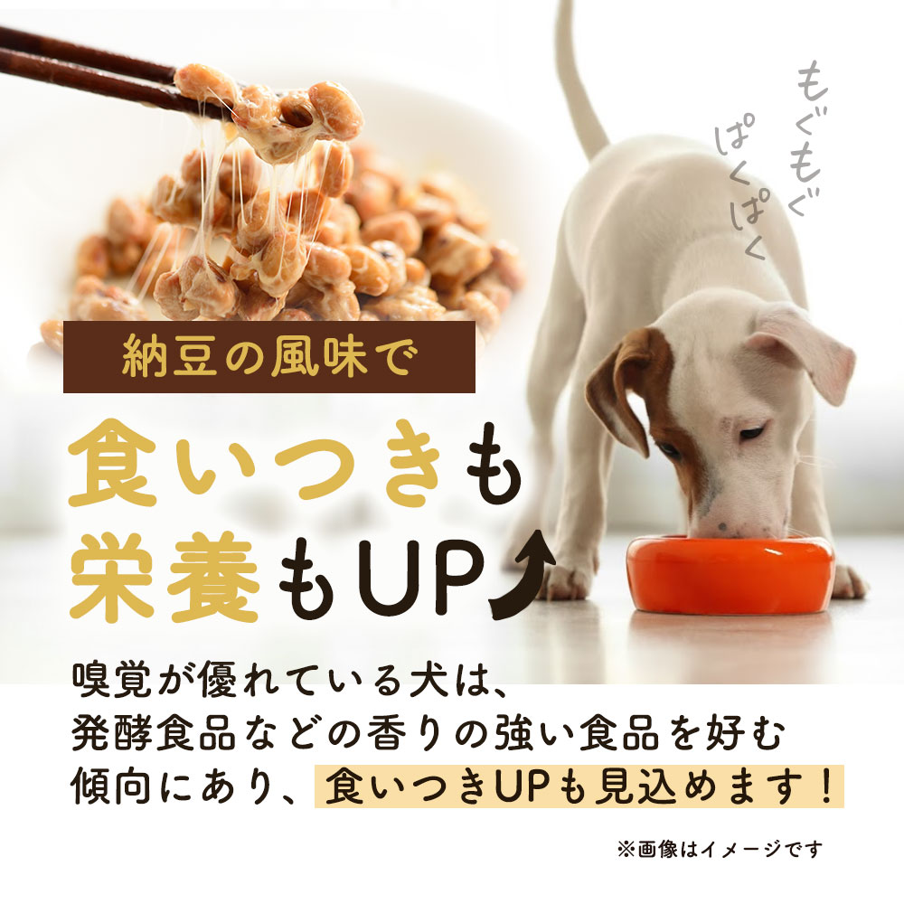 犬 納豆 ふりかけ 85g 国産｜oga012｜03