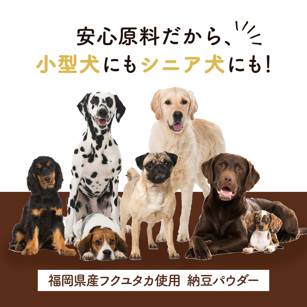 犬 納豆 ふりかけ 85g 国産｜oga012｜15