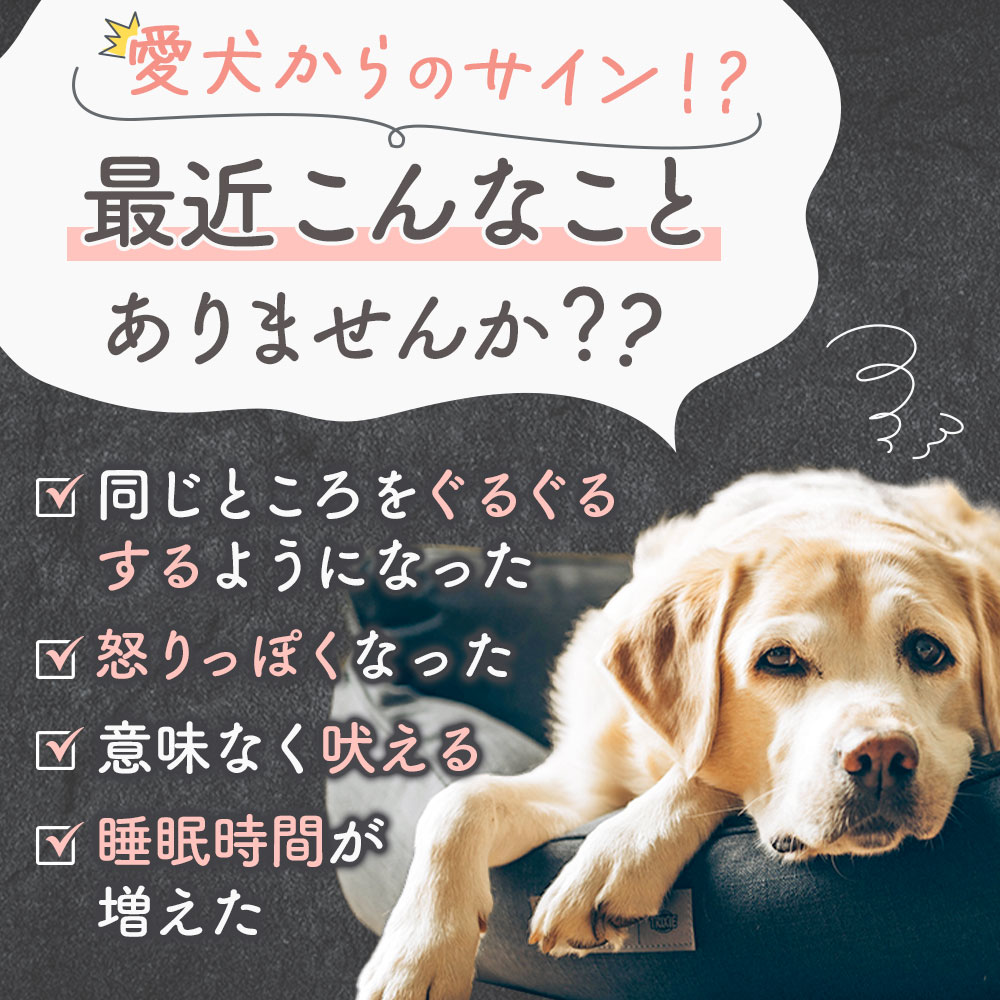 犬 リラックス 90粒 国産 : h00090001 : ペットサプリもぐもぐ - 通販 - Yahoo!ショッピング