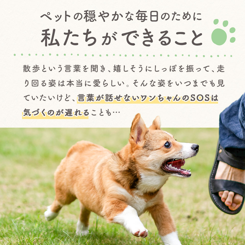 犬 リラックス 90粒 国産 : h00090001 : ペットサプリもぐもぐ - 通販 - Yahoo!ショッピング