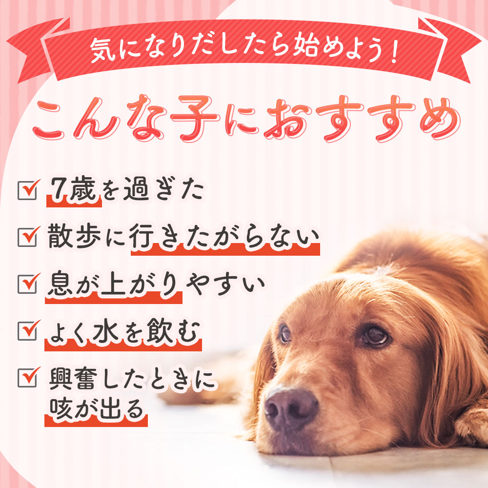 犬 サプリ 心臓ケア はつらつ 90粒 ペット 心臓 打錠タイプ 小粒