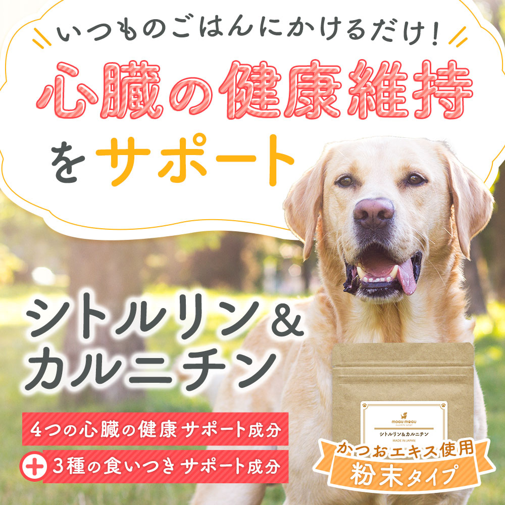 2026.10 サイボミックス 成犬用 （犬用サプリメント） 犬用 おやつ 天然 サプリメント BokBok ボクボク サメミックス