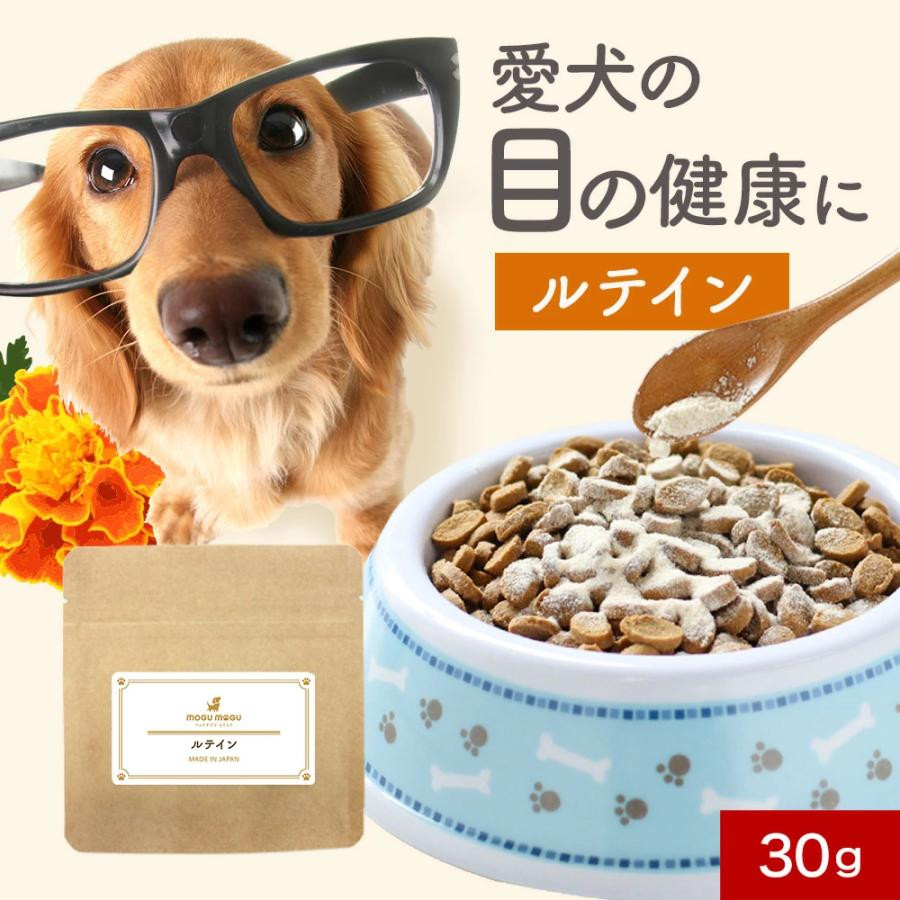 もぐもぐDog ドッグフード シニア犬 「涙・泌尿器サポート 4袋 もぐもぐDog ドッグフード シニア 犬用 アレルギー 消化器