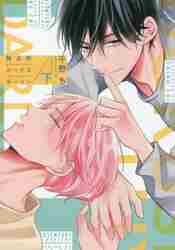 【新品・全巻セット】独占的ルークスダーリン　上下巻セット　コミック　新書館