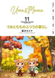 【新品・全巻セット】うめともものふつうの暮らし コミック　1-11巻セット　竹書房