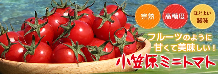 小笠原産直市場 - Yahoo!ショッピング 小笠原産直市場 - Yahoo!ショッピング