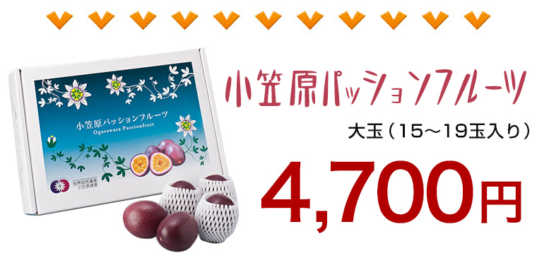 2L玉2.5kg+規格外500g パッションフルーツ 楽天市場】【マラソンP5倍】【メーカー直送】【6月下旬より発送