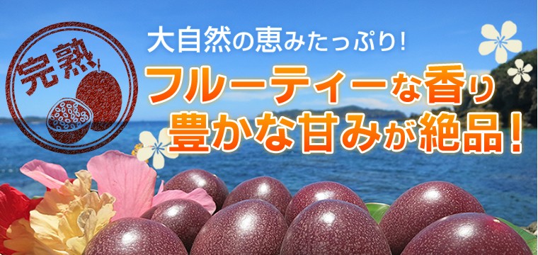 沖縄県より産地直送 JAおきなわ パッションフルーツ Sから3L