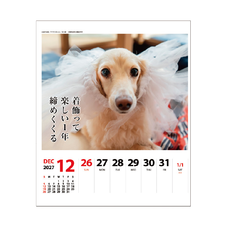 ダックス川柳カレンダー週めくり 見本6