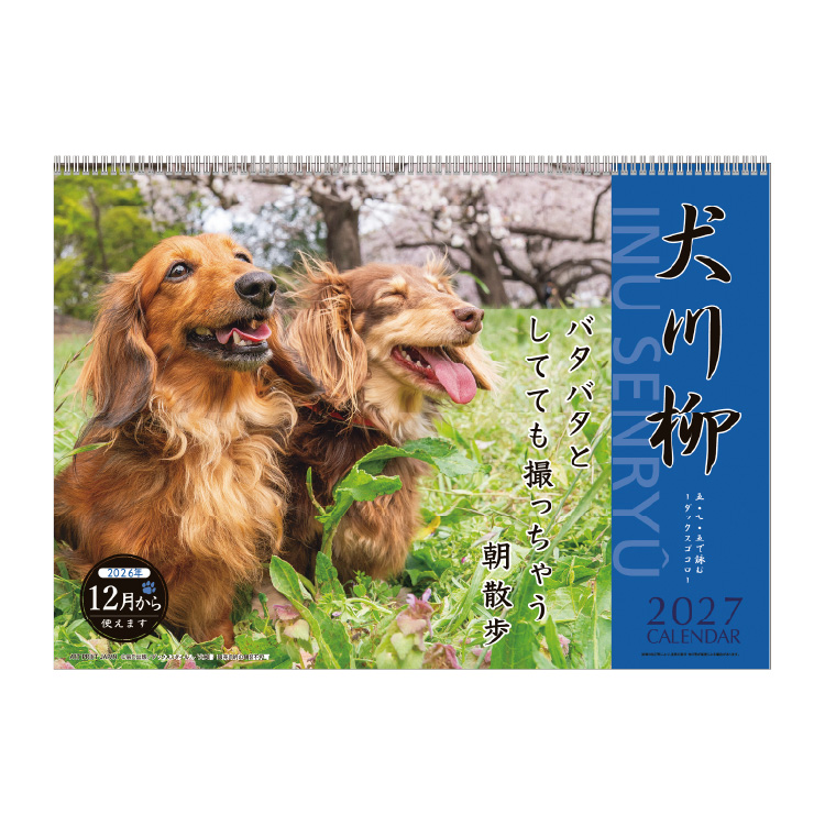 9月より発送開始】アートプリントジャパン カレンダー 2027 ダックス