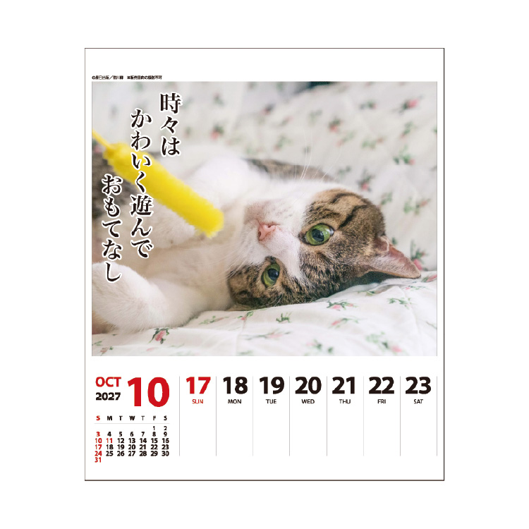アートプリントジャパン カレンダー 2027 猫川柳 週めくり 猫 写真