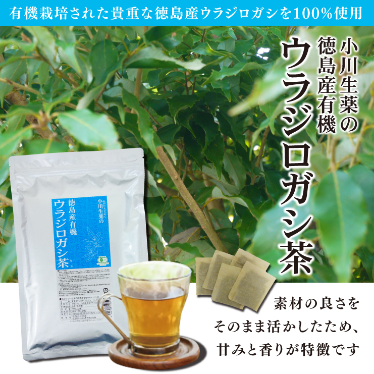 小川生薬 徳島産有機ウラジロガシ茶 105g（35袋） :503493:小川生薬 Yahoo!ショッピング店 - 通販 - Yahoo!ショッピング