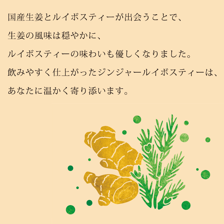 ジンジャールイボスティー画像2