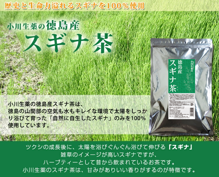 小川生薬 徳島産スギナ茶（すぎな茶） 3g×40袋 5個セットさらにもう1個プレゼント｜ogawasyouyaku｜04