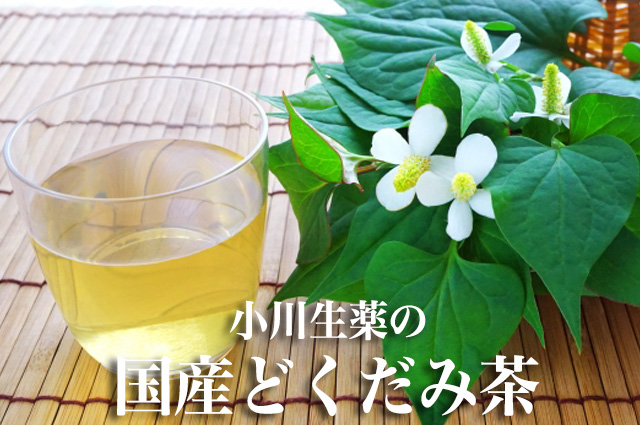 国産どくだみ茶