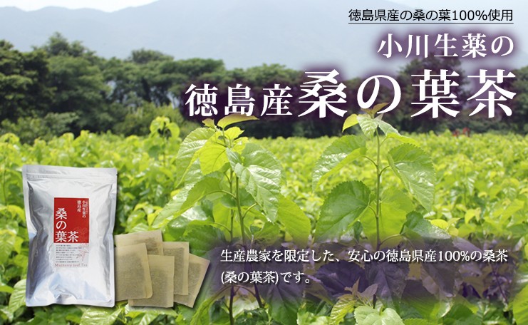 小川生薬 徳島産桑の葉茶（くわのは茶） 3g×40袋 3個セット｜ogawasyouyaku｜03