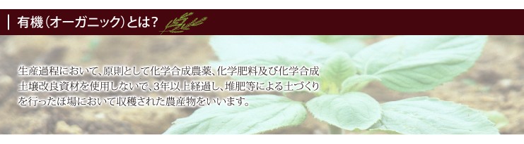 みんなの有機ルイボスティー