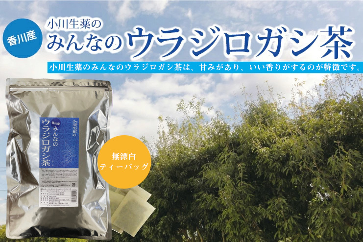 小川生薬 香川産みんなのウラジロガシ茶 5g×40袋 5個セットさらにもう1 