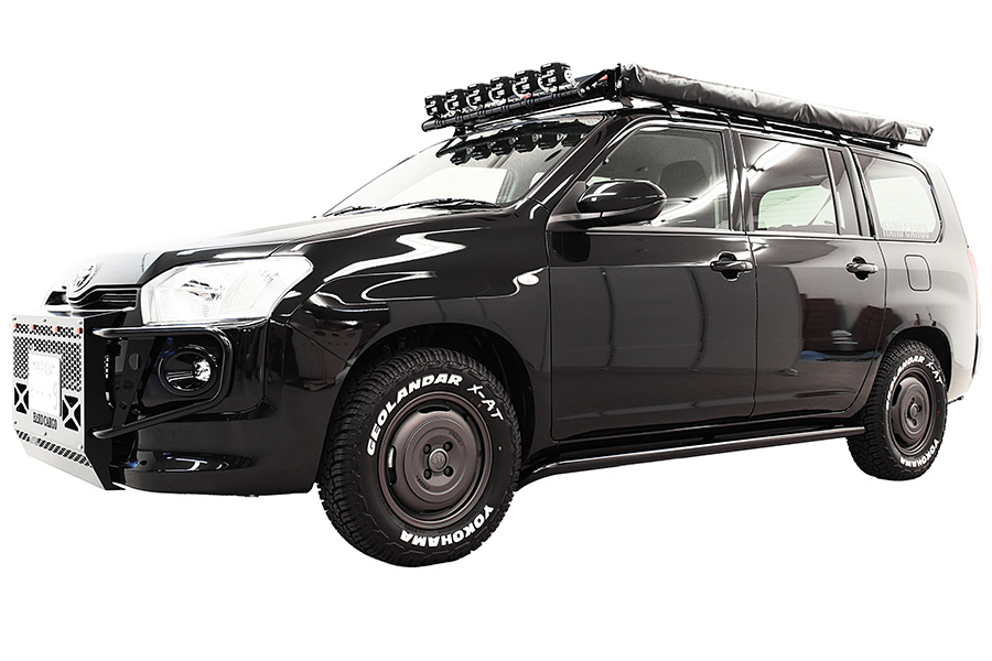 プロボックス P160V P165V サイドガード ハードカーゴ HARD CARGO