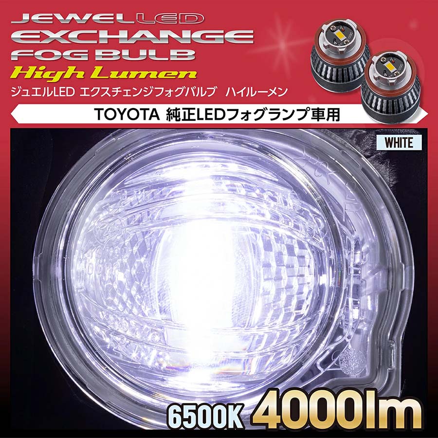 ヴァレンティ エクスチェンジフォグバルブ