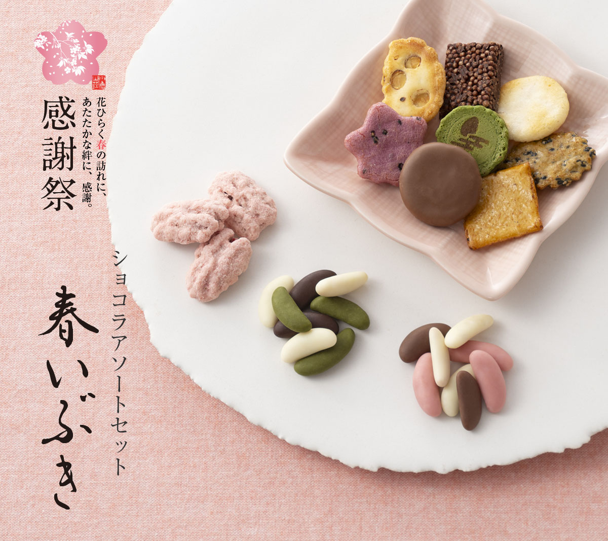 【感謝祭限定】ショコラアソートセット 「春いぶき」（係数8）