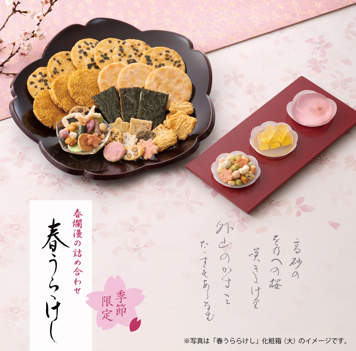 のどけき春の詰め合わせ　春うららけし