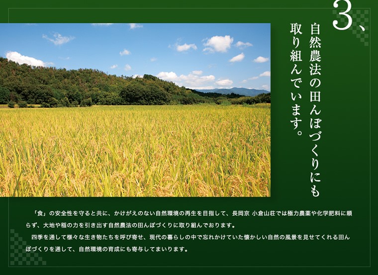 自然農法の田んぼづくりにも取り組んでいます。
