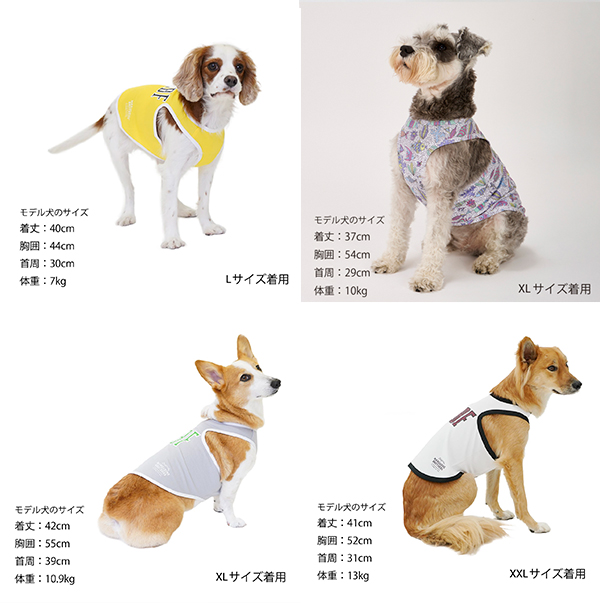 MANDARINE BROTHERS 犬 服 夏 マンダリンブラザーズ ドッグ