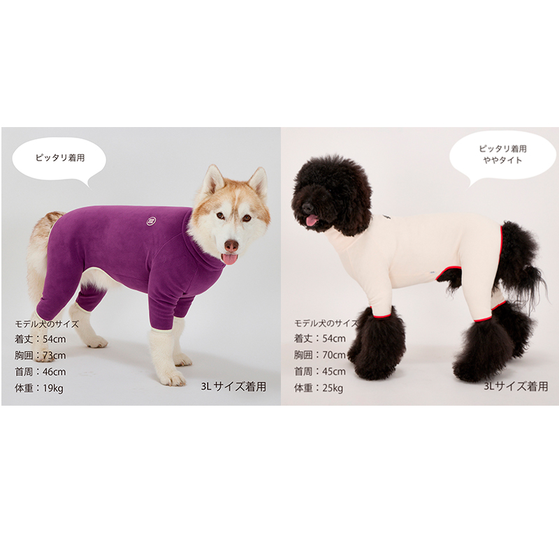 MINI LOGO BOA SUIT ���ʾܺ�