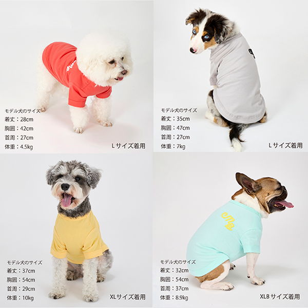 夢はあきらめないオーダー犬服　3点 犬 服 夏 接触冷感 マンダリンブラザーズ MANDARINE BROTHERS ドッグ