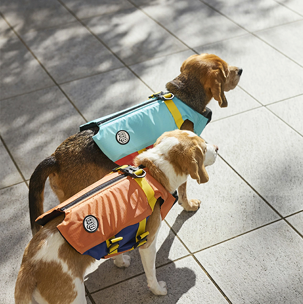 犬用フローティングジャケット 使用イメージ
