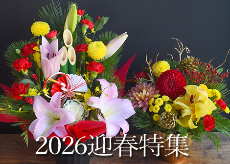 2026迎春特集