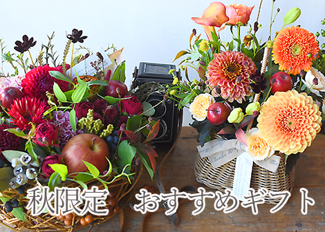 秋のお花特集