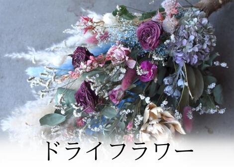 ドライフラワー特集