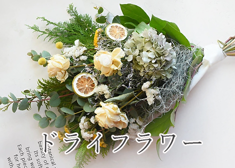 ドライフラワー特集
