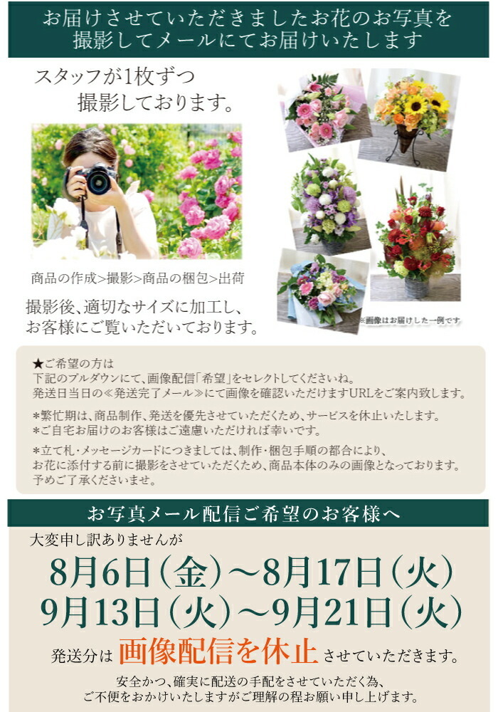 再入荷 お中元 お盆 お彼岸 敬老の日 お彼岸 花 ギフト 山形産 蔵王リンドウ 50本 花束 りんどう 生花 お彼岸 プレゼント 送料無料 鉢植え お客様満足度no 1 Carlavista Com