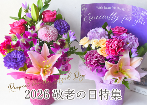 敬老の日ギフト日特集