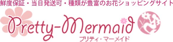 お誕生日 バースディ ギフト特集 プリティマーメイド ラッピング可 お届け指定日可