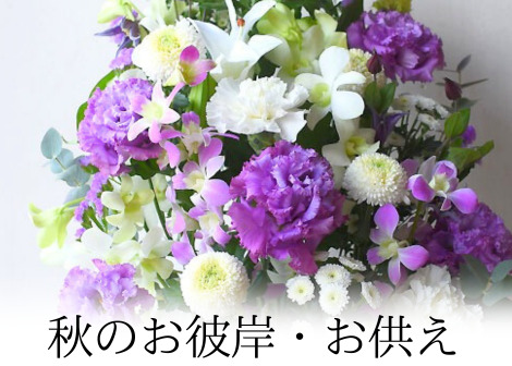秋のお彼岸・お供えの花特集