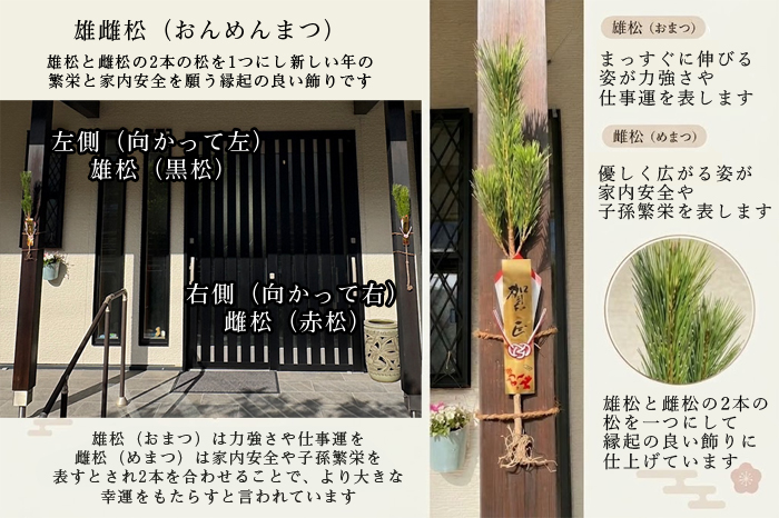 正月 門松 正月飾り 玄関用 雄雌 1組 松 販売 切花 切り花 : プリティ