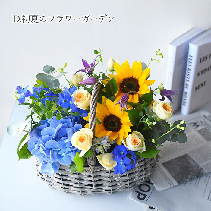 プリティ マーメイド 夏 サマー ギフト プレゼント ヒマワリ 向日葵の