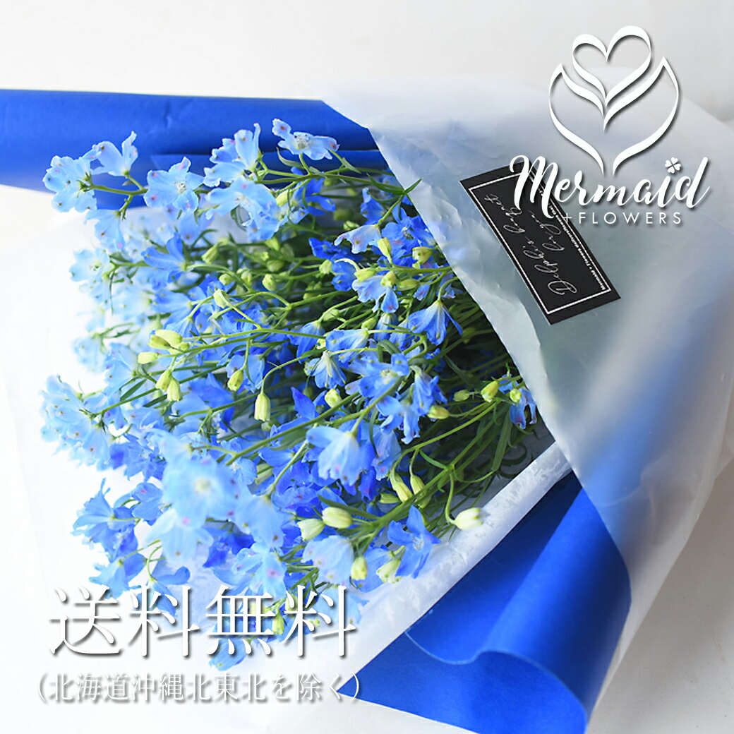花 ギフト 誕生日 卒業 送別 退職 結婚 記念日 お祝い デルフィ 花束 お祝い 送料無料 | プリティ マーメイド | 01