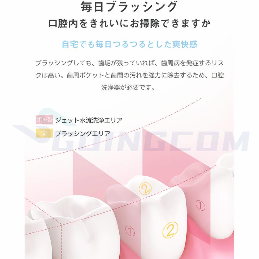 口腔洗浄器 ジェットウォッシャー 400MLタンク 5つモード 替えノズル4