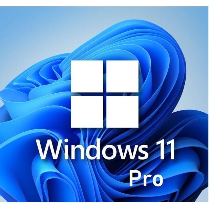 60%OFF!】 Windows11 pro 32bit 64bit 安全のMicrosoft公式サイトからダウンロード版 正規版(日本語) 認証保証  新規インストール アップデート