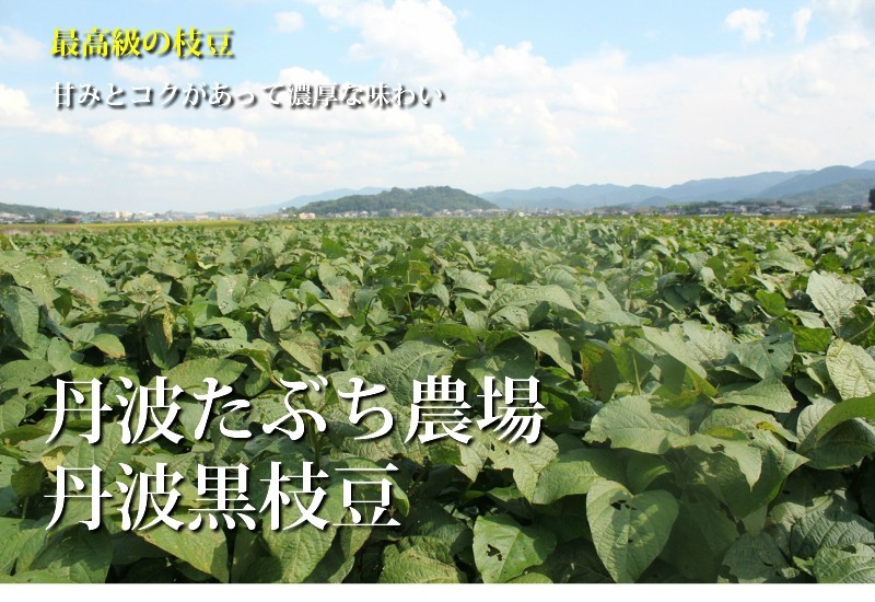 丹波篠山産黒枝豆1kg さやのみ（篠山市認定販売所たぶち農場）※収穫日に出荷いたします : tabuchi-27-ed10 : 良品専売おはたま本舗  - 通販 - Yahoo!ショッピング